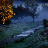 Entry image for Sonoma Winter