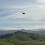 Entry image for Soaring over Putnam Park