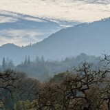 Entry image for Sonoma Valley Regional Park