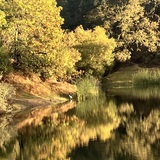 Entry image for Foothill Park Reflections