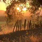 Entry image for Day’s End