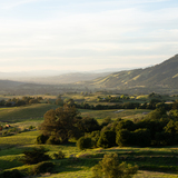 Entry image for Evening View