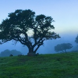 Entry image for Taylor Mountain Morning Sihouette