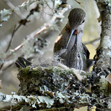 Entry image for I Love You