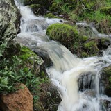 Entry image for Rainy Overflow