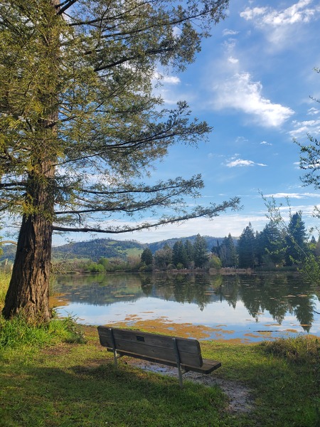 Entry image for Saturday at Spring Lake. Clicking this image will show a larger photo