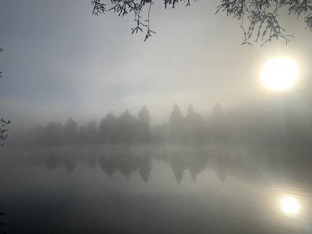 Entry image for Early Morning at Spring Lake. Clicking this image will show a larger photo