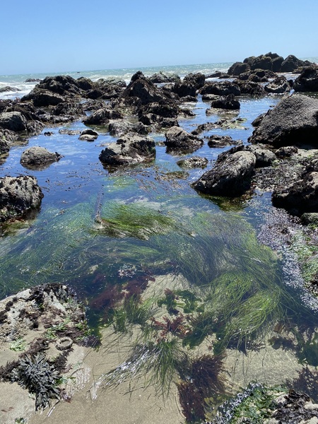 Entry image for Doran. Clicking this image will show a larger photo