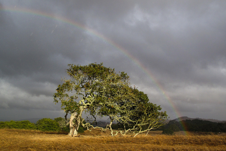 Entry image for Bending to the Rainbow 2. Clicking this image will show a larger photo