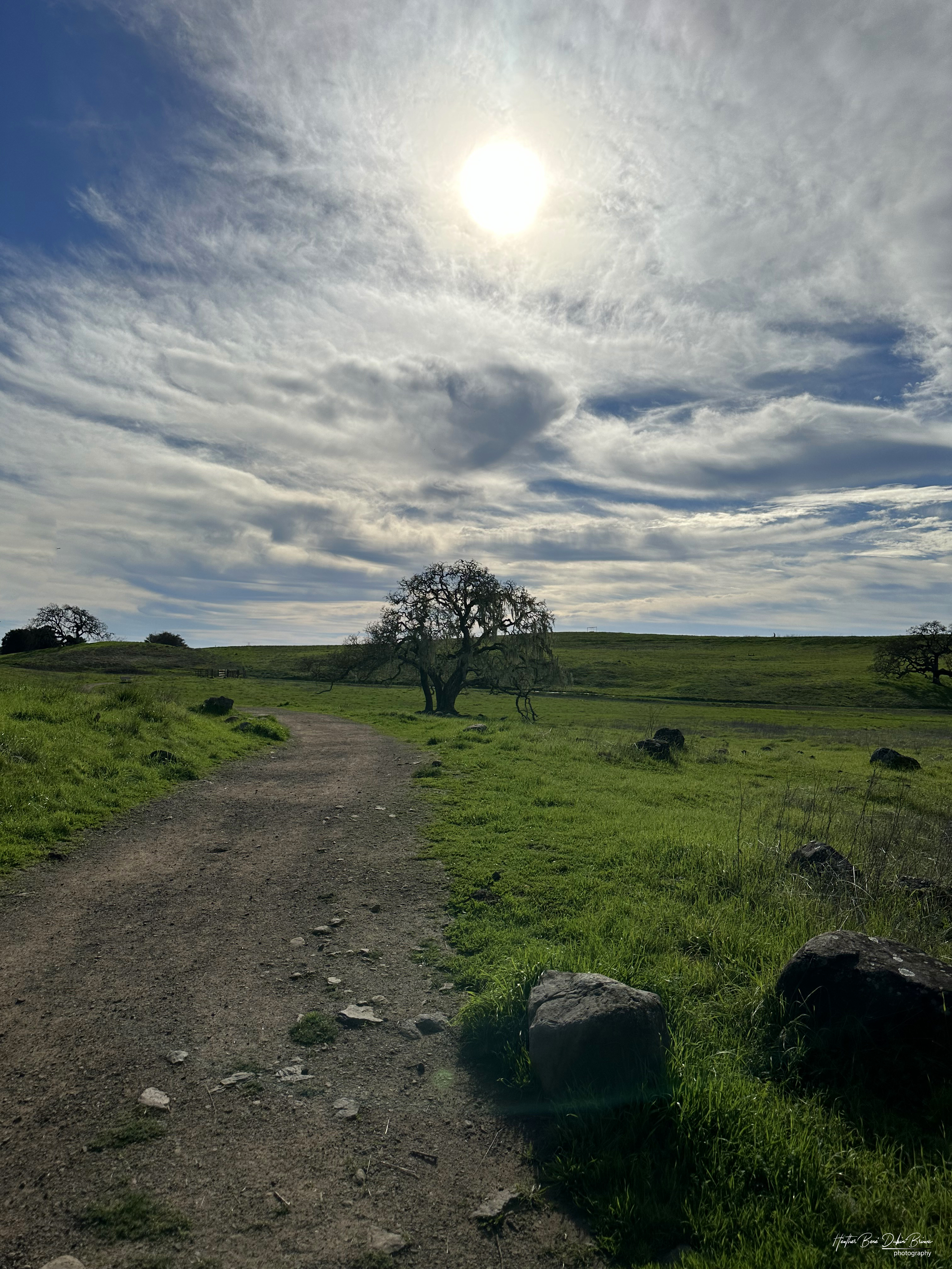 Entry image for Where the Trail Meets the Sky. Clicking this image will show a larger photo