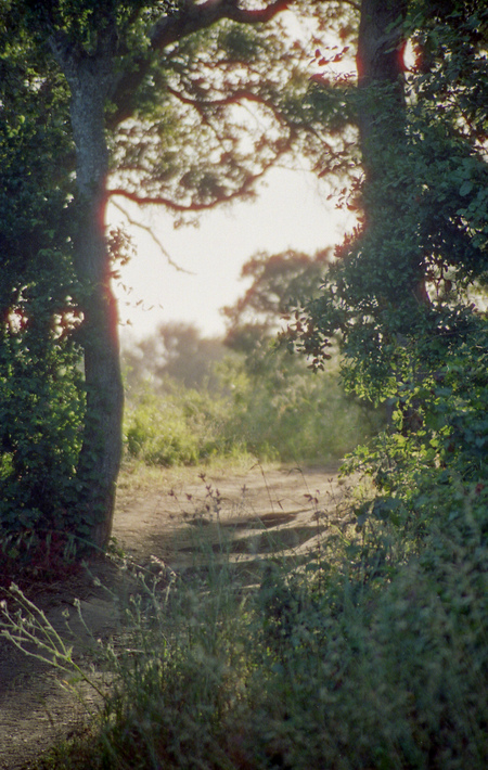 Entry image for Helen Putnam Regional Park. Clicking this image will show a larger photo