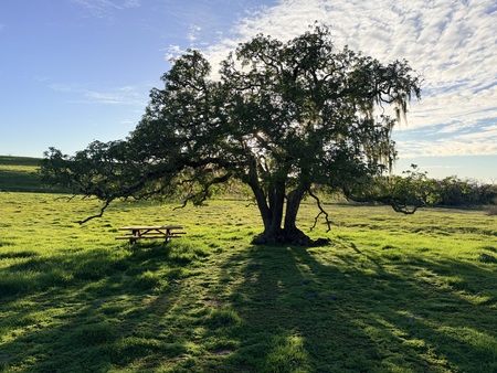 Entry image for Solitude. Clicking this image will show a larger photo