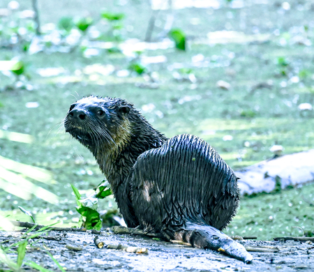 Entry image for Please don't follow me. Clicking this image will show a larger photo