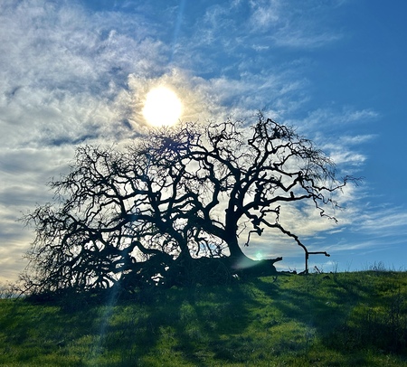 Entry image for Clouds Over Crane. Clicking this image will show a larger photo