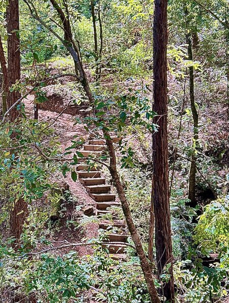 Entry image for Monte Rio regional park. . Clicking this image will show a larger photo