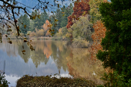 Entry image for Fall Colors at Spring Lake. Clicking this image will show a larger photo