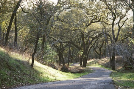Entry image for The Well-Trodden Sonoma Valley Regional Path. Clicking this image will show a larger photo