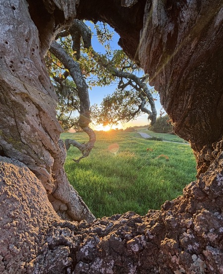 Entry image for Let the light in . Clicking this image will show a larger photo