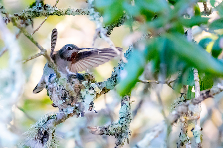 Entry image for Mom the Builder. Clicking this image will show a larger photo