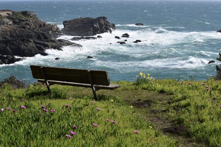 Entry image for A Seat on the Sonoma Coast. Clicking this image will show a larger photo