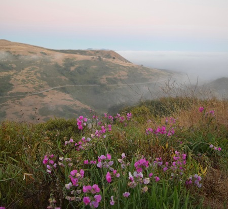 Entry image for Late Summer Sonoma Coast. Clicking this image will show a larger photo