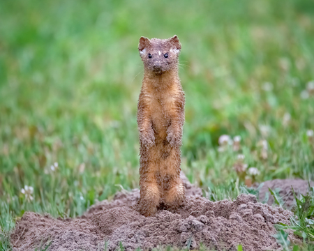 Entry image for All in a Days Work. Clicking this image will show a larger photo