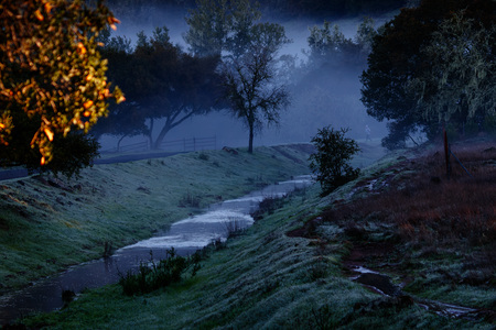 Entry image for Sonoma Winter. Clicking this image will show a larger photo