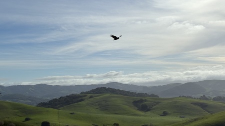 Entry image for Soaring over Putnam Park. Clicking this image will show a larger photo