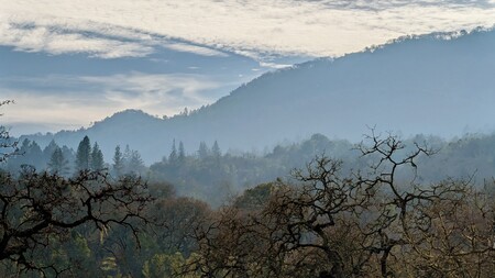 Entry image for Sonoma Valley Regional Park. Clicking this image will show a larger photo