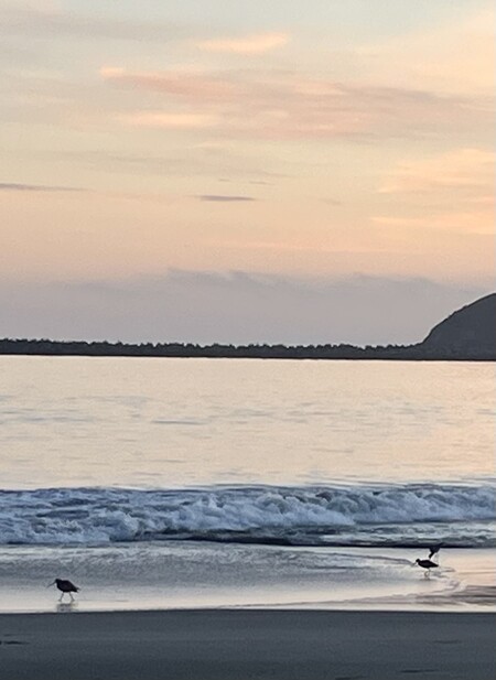 Entry image for Doran Beach. Clicking this image will show a larger photo