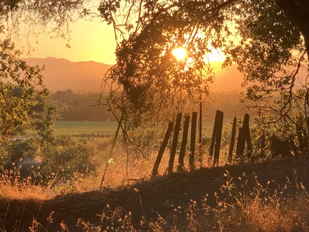 Entry image for Day’s End. Clicking this image will show a larger photo