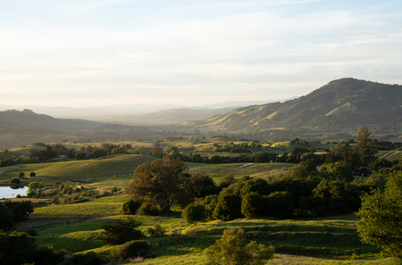 Entry image for Evening View. Clicking this image will show a larger photo