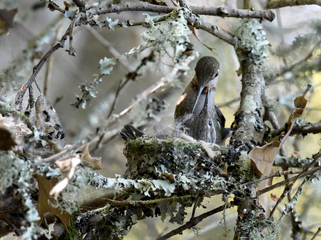 Entry image for I Love You. Clicking this image will show a larger photo