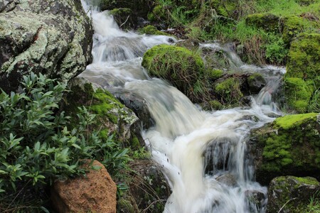 Entry image for Rainy Overflow. Clicking this image will show a larger photo