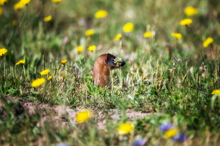 Entry image for Invisible. Clicking this image will show a larger photo