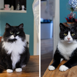 Entry image for Jenny & Danny