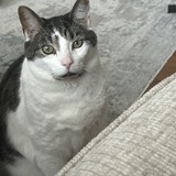 Entry image for Jack