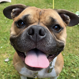 Entry image for Maggie