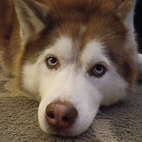 Entry image for Bunker