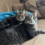 Entry image for Oliver & Charlotte