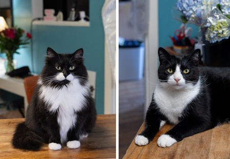 Entry image for Jenny & Danny. Clicking this image will show a larger photo