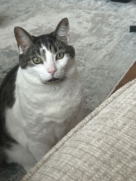 Entry image for Jack. Clicking this image will show a larger photo