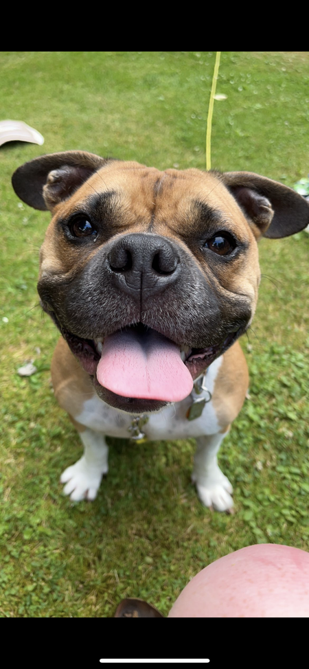 Entry image for Maggie. Clicking this image will show a larger photo