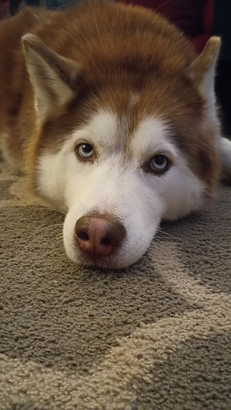 Entry image for Bunker. Clicking this image will show a larger photo