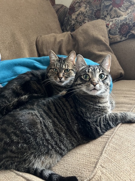 Entry image for Oliver & Charlotte. Clicking this image will show a larger photo