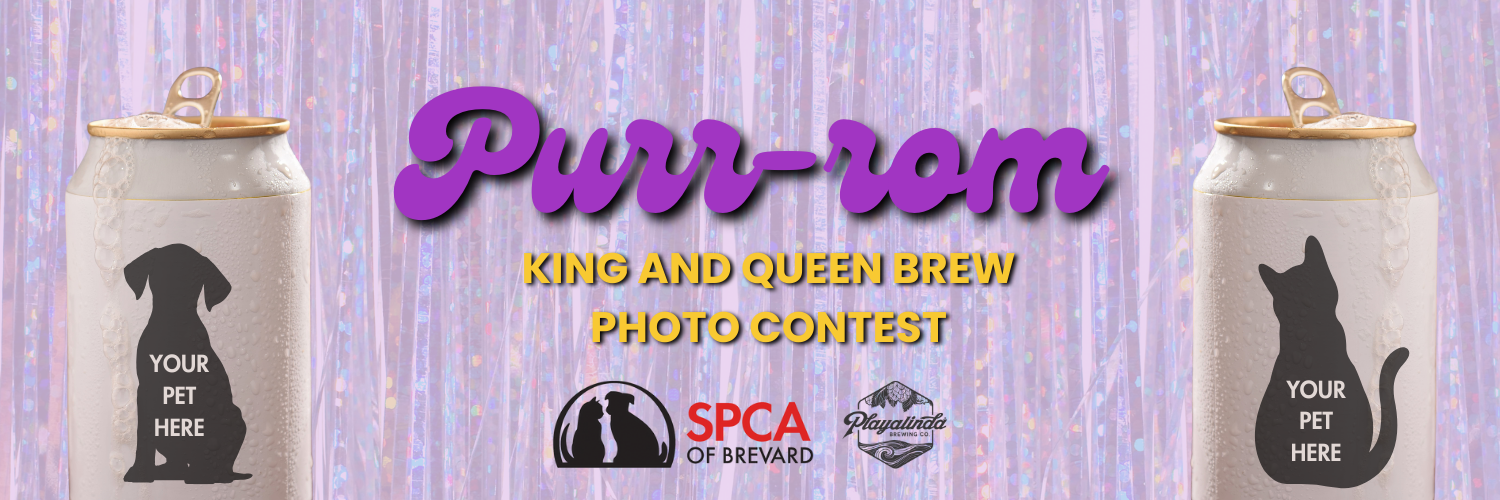 Banner for Purr-rom King and Queen Brew: A collaboration between Playlinda Brewing Company and the SPCA of Brevard