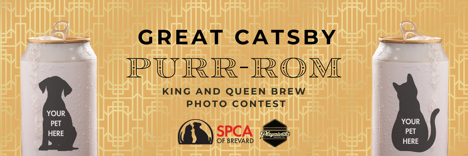 Banner for Purr-rom King and Queen Brew: A collaboration between Playlinda Brewing Company and the SPCA of Brevard