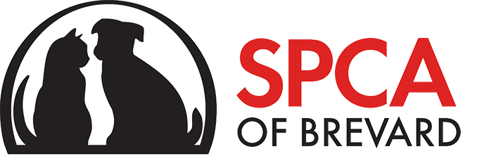 Logo for Purr-rom King and Queen Brew: A collaboration between Playlinda Brewing Company and the SPCA of Brevard