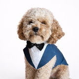 Entry image for Barnie