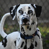 Entry image for Krypto Beers